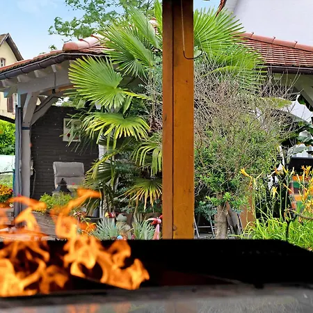 Voelker * هاسلاخ إيم كينزيجتال